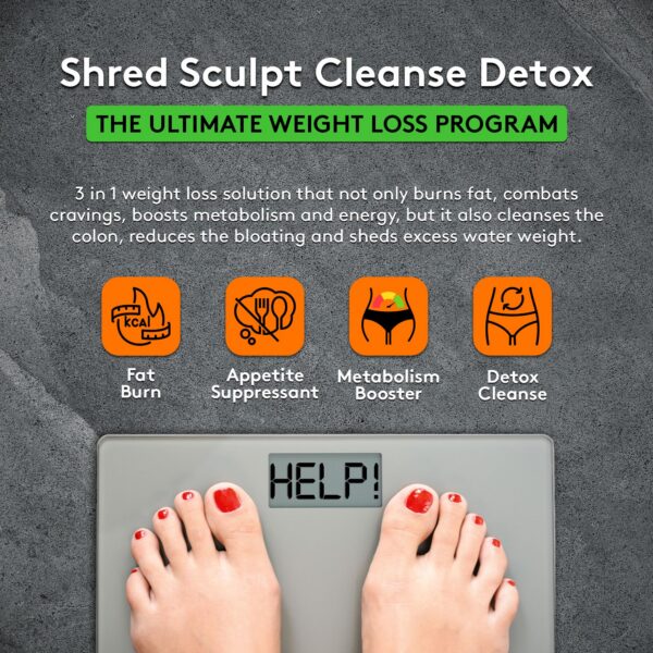 Version 1.0.0 Capsules container side view