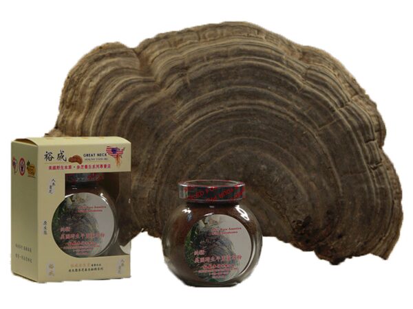 Etiqueta de frasco Ganoderma Applanatum silvestre