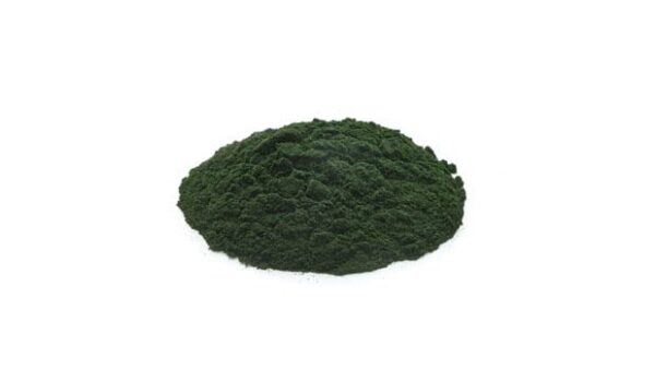 Contenedor Yupik espirulina orgánica vegana polvo natural