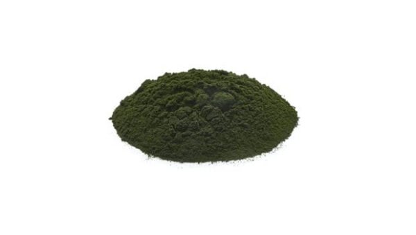 Yupik polvo algas chlorella para recetas y bebidas verdes