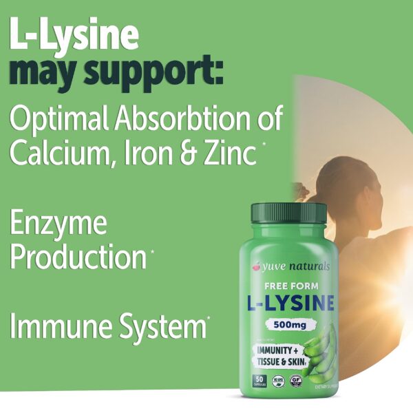 Etiqueta de lisina Yuve