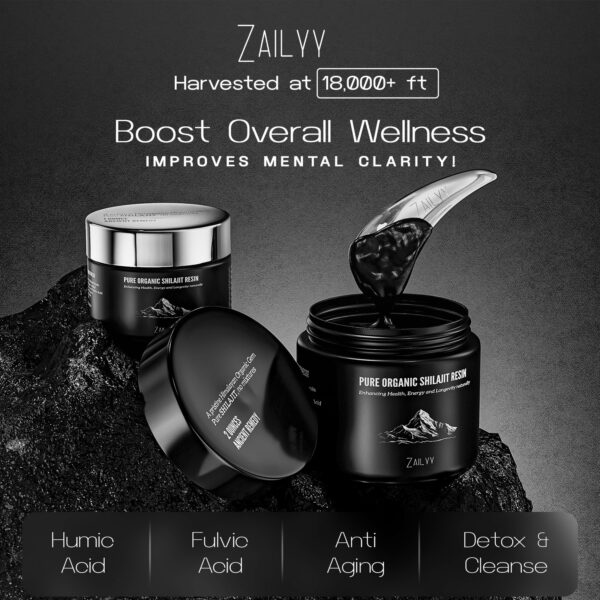 Version 1.0.0 Frasco de Shilajit resina dentro de envase