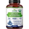 Botella Zazzee Blueberry Organic Extract