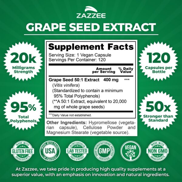 Version 1.0.0 Etiqueta de Zazzee con logo