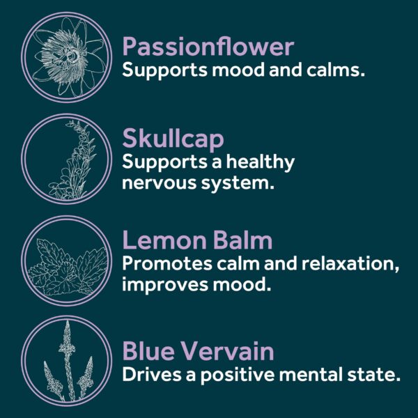 Version 1.0.0 Ingredientes Ashwagandha y L-Teanina en Zen Blend cápsulas
