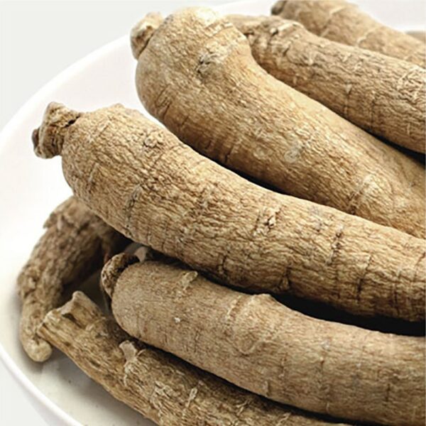 Raíz de ginseng Wisconsin para salud y energía