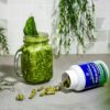 Zen Principle moringa oleifera hojas secas naturales
