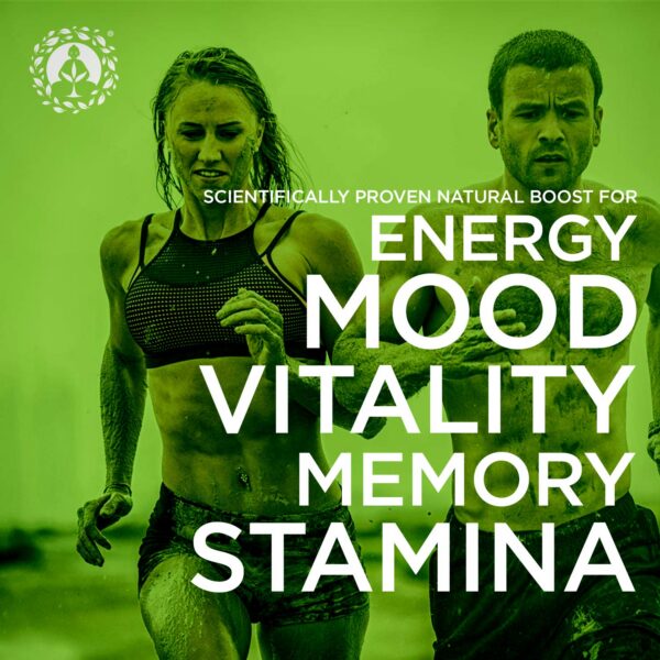 Detalle de colores de la mezcla de maca