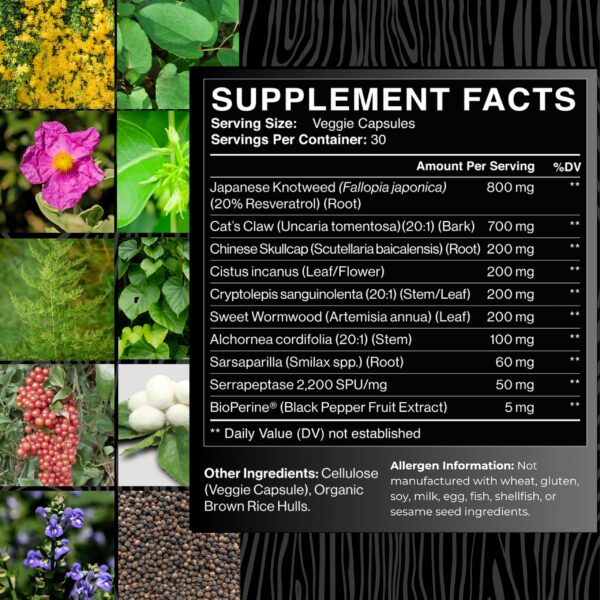 Ingredientes naturales en el suplemento Zenmen soporte inmunológico