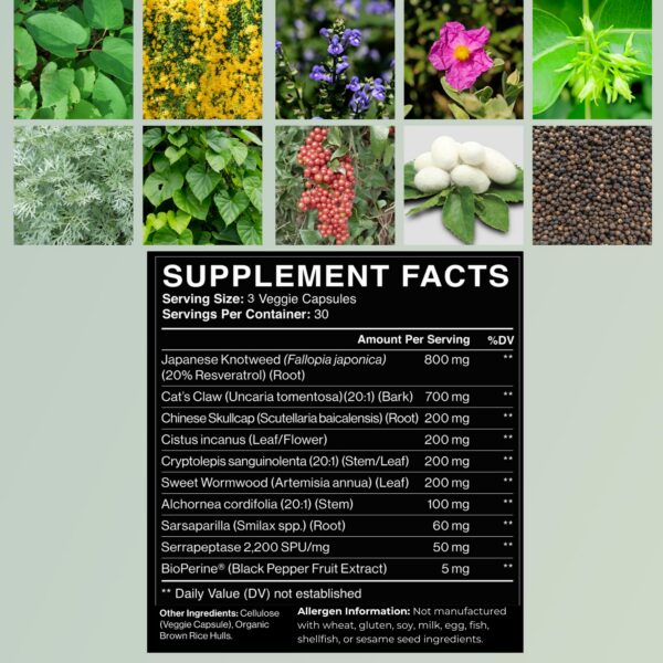 Zenmen Suplemento para viajeros y aventureros al aire libre