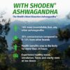 1 Body suplemento vegano no OGM con adaptógenos Ashwagandha