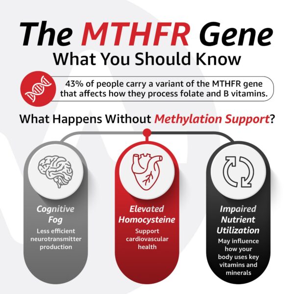 Tapa del frasco de gomitas