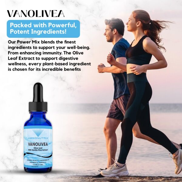 Absonutrix VanOlivea extracto hoja de olivo y fruta de olivo