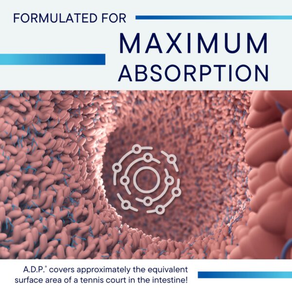 Aceite de orégano con carvacrol Biotics Research 120 tabletas