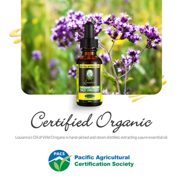 Aceite de orégano Louianna con alto carvacrol para salud