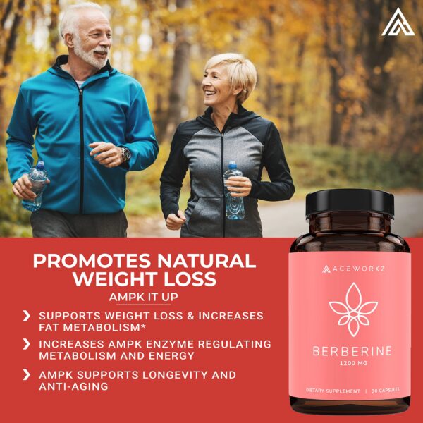 Version 1.0.0 Envase y cápsulas ACEWORKZ