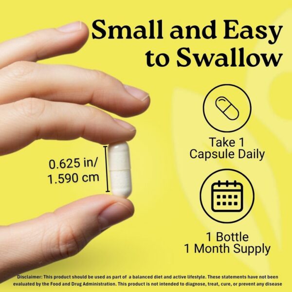 Version 1.0.0 Cajas y frascos de calidad GMP