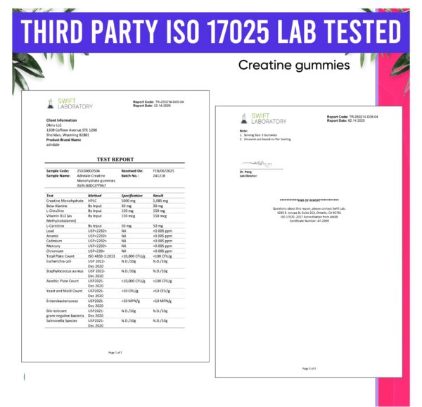 Version 1.0.0 Frasco en estante