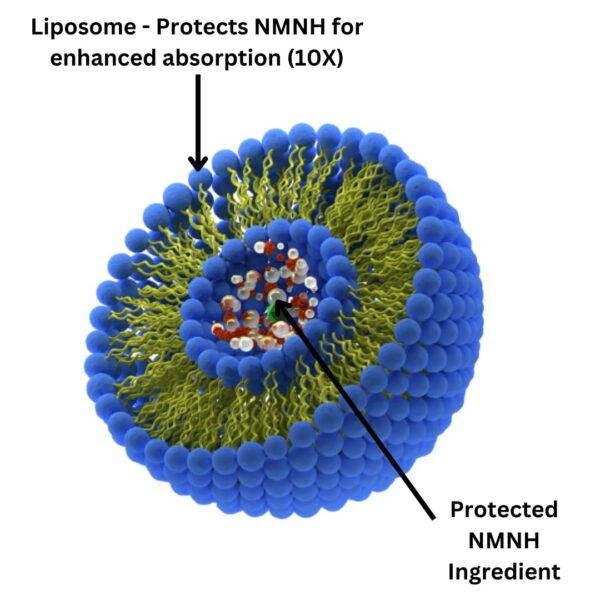 Detalle de etiqueta GMP/NSF