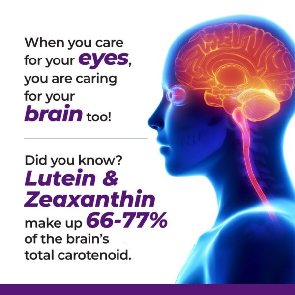 Version 1.0.0 Bilberry y astaxantina en la mezcla