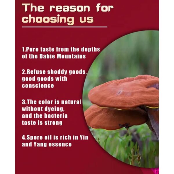 Paquete de cápsulas de Ganoderma Lucidum AIHIYO