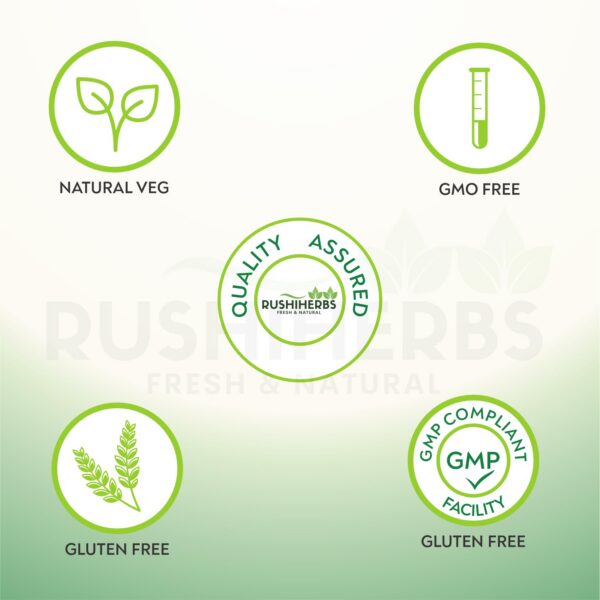 Ajo negro fermentado natural para mejor absorción y potencia