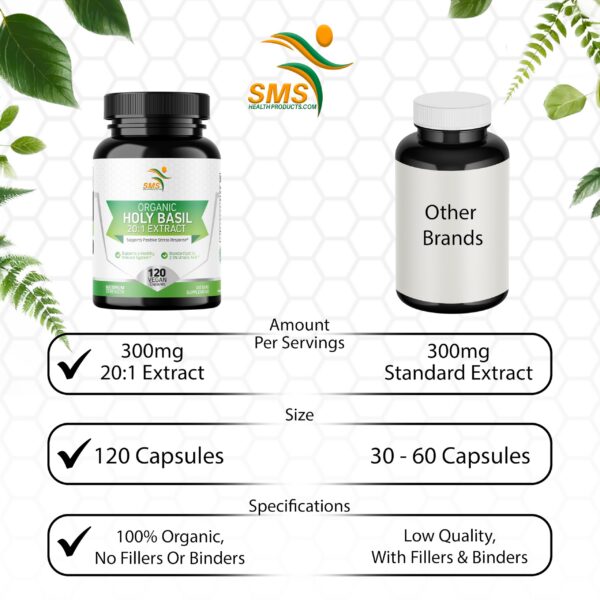 Version 1.0.0 Albahaca sagrada orgánica extracto estándar 20X 120 cápsulas veganas