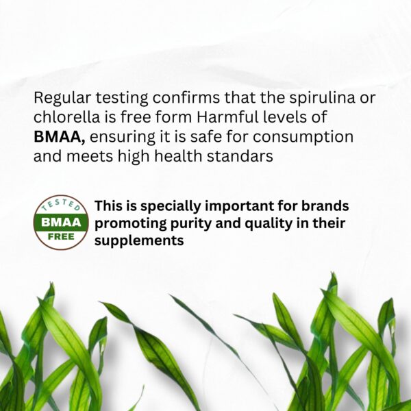 Alimentos supergreens spirulina y chlorella para salud