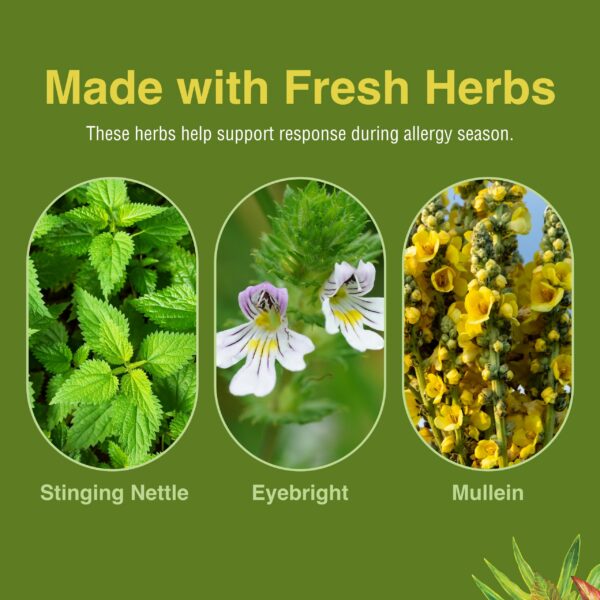 Version 1.0.0 Allergy ReLeaf sin ingredientes artificiales