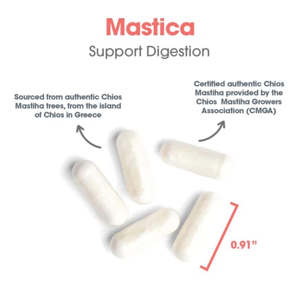 Allergy Research Group Goma de Mástique Chios