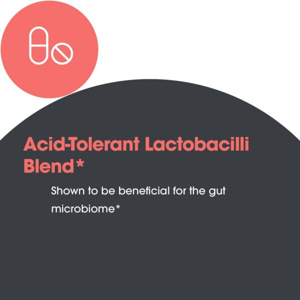 Allergy Research Group Lactobacillus información