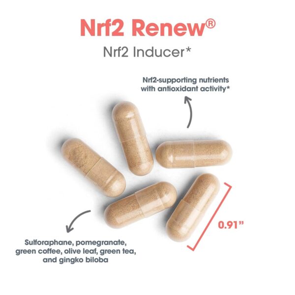 Detalle de ingredientes Nrf2 Renew