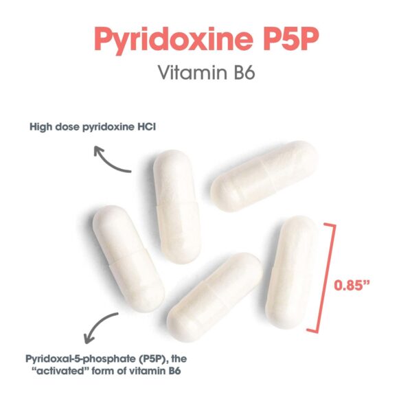 Version 1.0.0 Etiqueta lateral del envase de Allergy Research Group