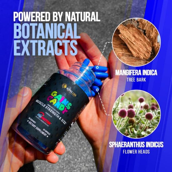 Cápsulas Gains Candy detalle