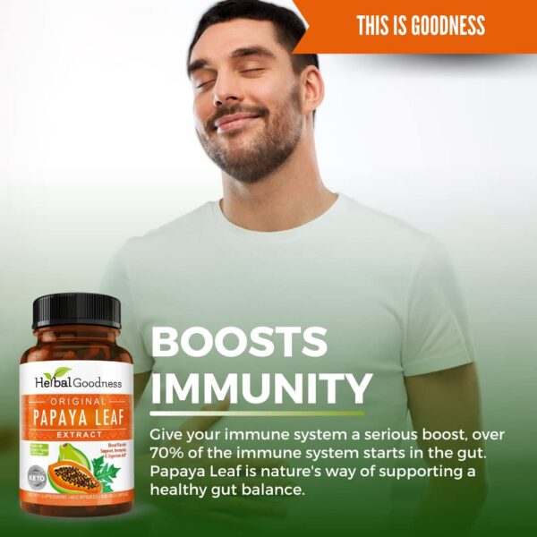 Alta potencia extracto papaya orgánico para salud