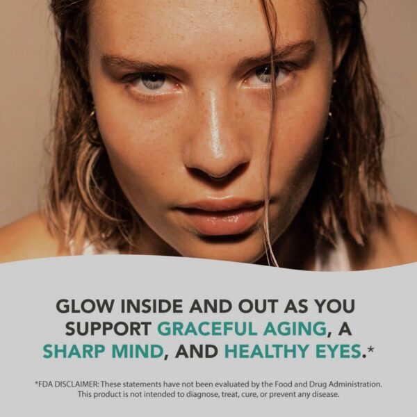 Instrucciones de uso