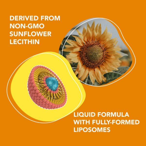 Frasco de vitamina C liposomal junto a vaso