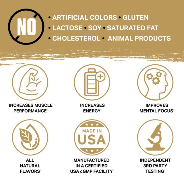 Instrucciones de preparación Ambrosia Kinetic