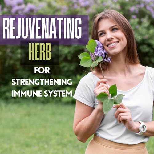 Amla natural polvo extracto puro suplemento herbal orgánico