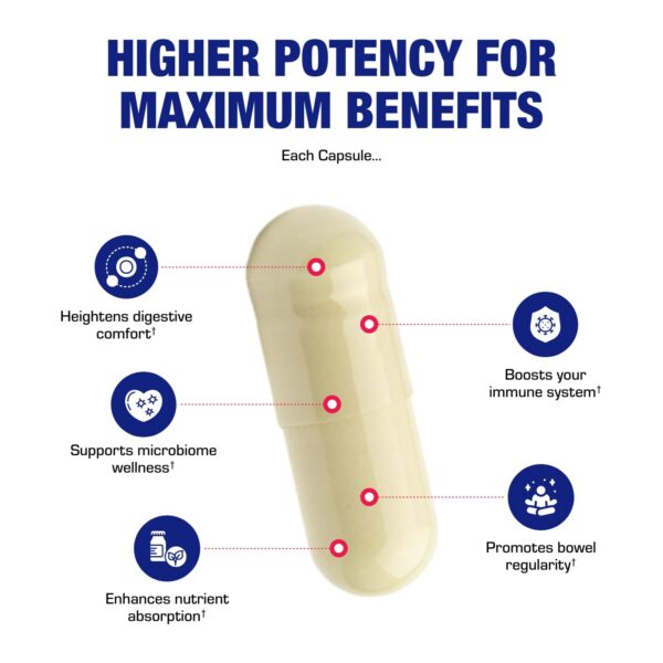 Detalle de porciones de probióticos