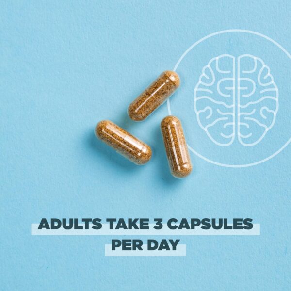 Ancient Nutrition cápsulas sin gluten, aptas para paleo y keto