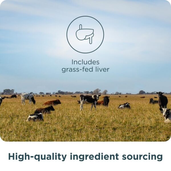 Ancient Nutrition Cápsulas de órganos - frasco con tapa