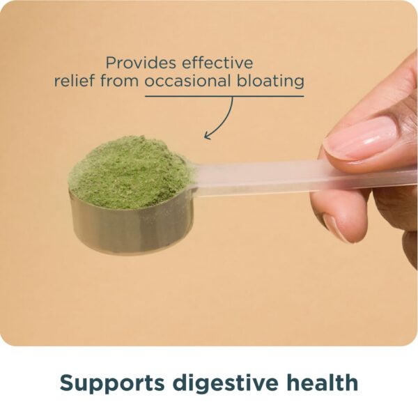 Envase en cocina con fondo blanco