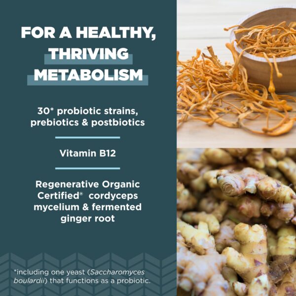 Cepa Bacillus subtilis AB22 en probióticos