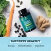 Ancient Nutrition Supergreens Energizer caja