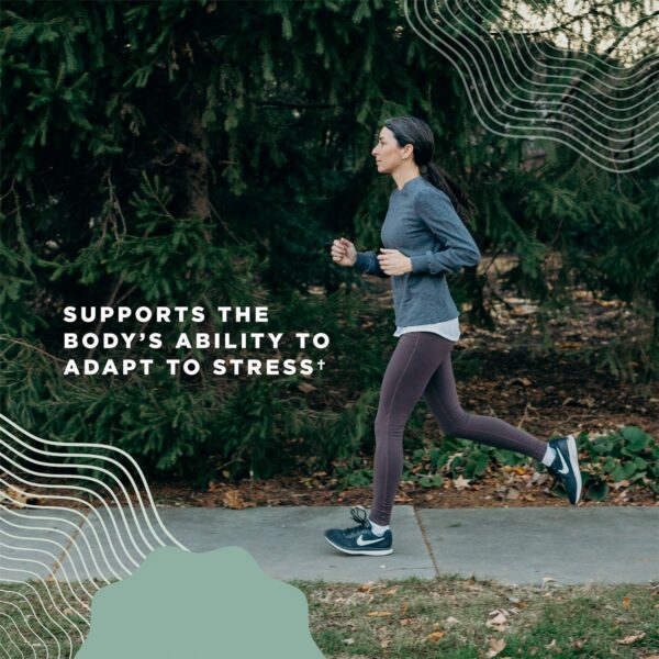 Suplemento vegano de hongos multi para control de estrés