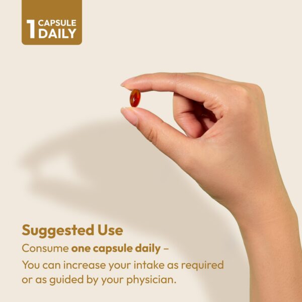 Ceramidas fito y biotina