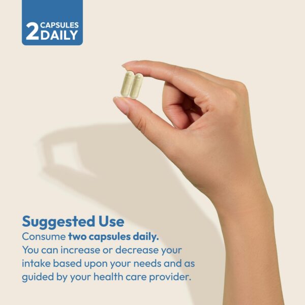 Lista de ingredientes en etiqueta