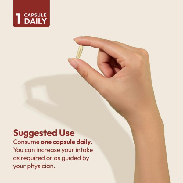 Comparación producto andrew lessman plus otros suplementos