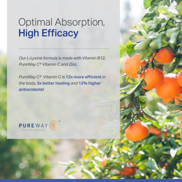 Version 1.0.0 Lista de beneficios y especificaciones